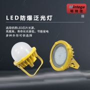 【精选】明特佳（Mintega） NFPD8503G-L30 30W LED防爆泛光灯 黄色(套）