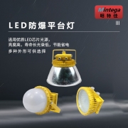 【精选】明特佳（Mintega） NFPD8504A-L70 70W LED防爆平台灯 黄色(套）