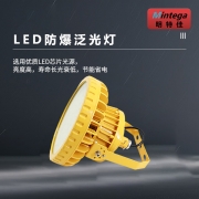 【精选】明特佳（Mintega） NFPD8504G-L100 100W LED防爆泛光灯 黄色(套）