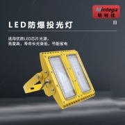 【精选】明特佳（Mintega） NFTD8201A-L100 100W LED防爆投光灯 黄色(套）