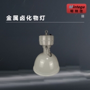 【精选】明特佳（Mintega） NZGD9103-L250 250W 金属卤化物灯 灰色(套）