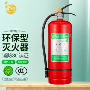 【精选】神龙 灭火器 水基型（水雾）环保灭火器6升 车载家用及商用灭火器6L MSWZ/6