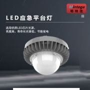 【精选】明特佳(Mintega) LED应急平台灯 FPD8504Y-L50