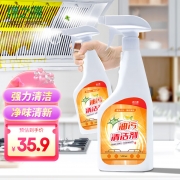 【精选】绿之源 Z-5981 油污清洁剂 500ml*2 （计价单位：组)