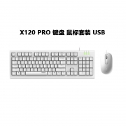 【精选】雷柏X120pro黑色USB键盘鼠标套装:颜色分类:黑色