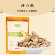 【精选】由小汐 零食装开心果88g*2袋